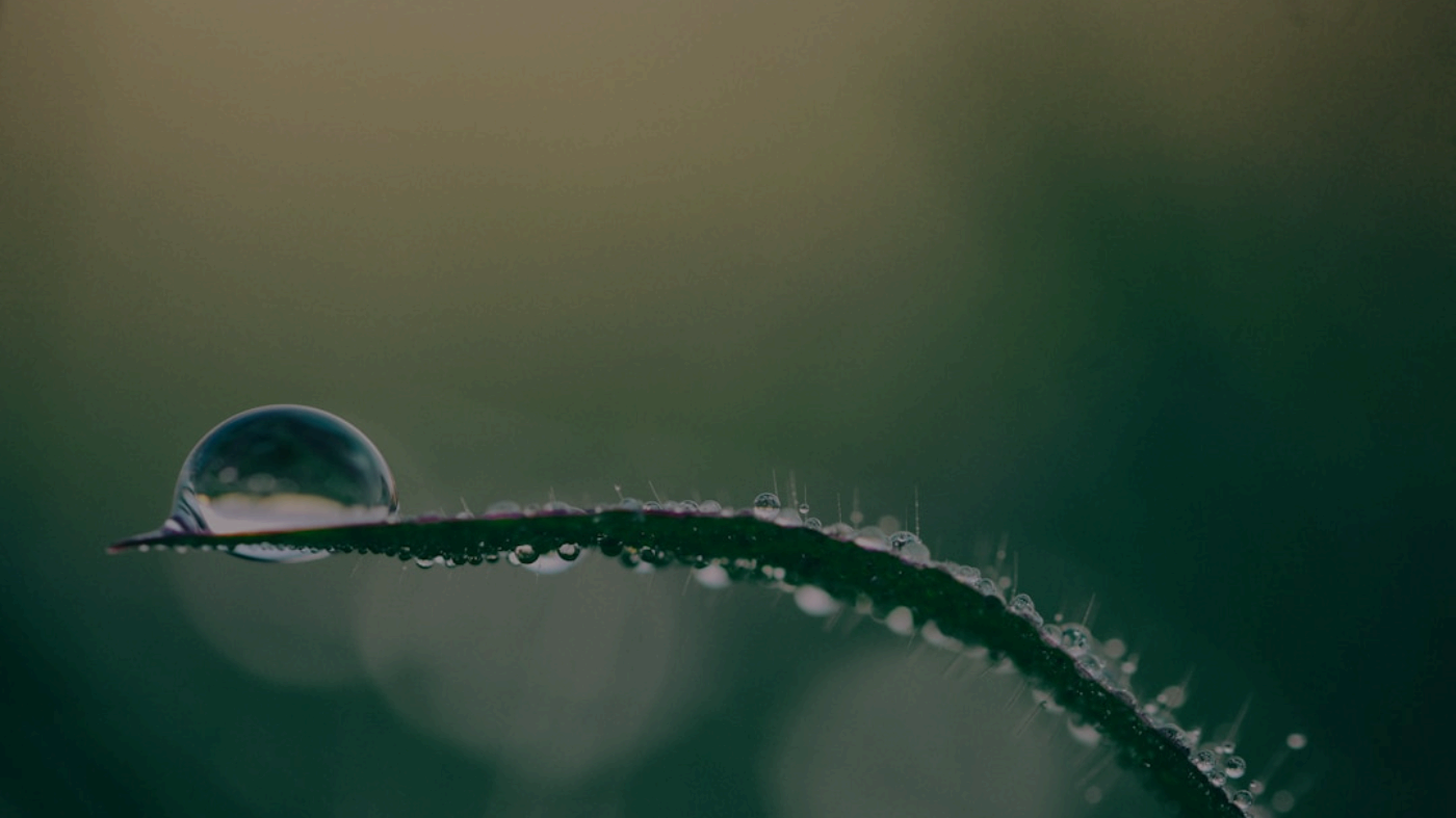 搭建免费的企业邮箱