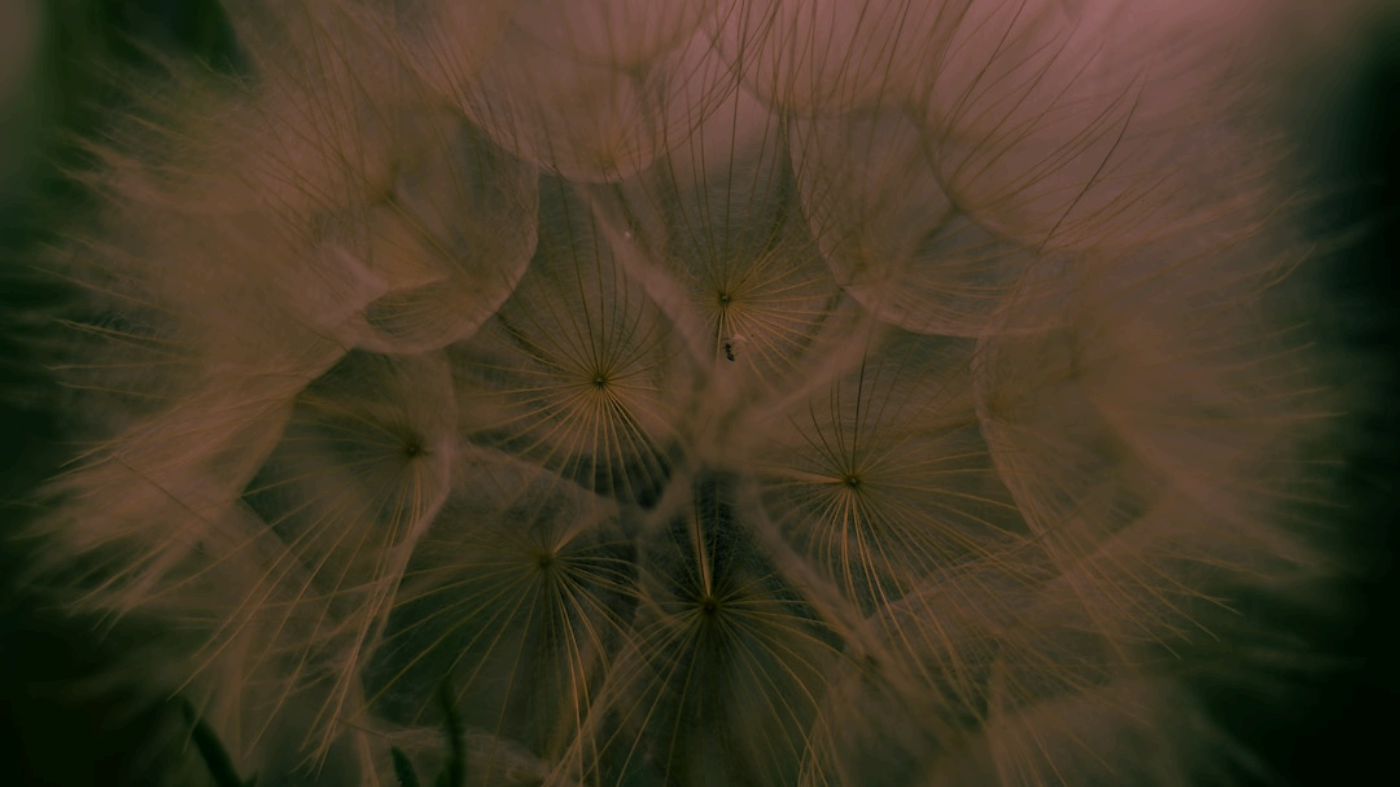 面试指南之算法面试心得