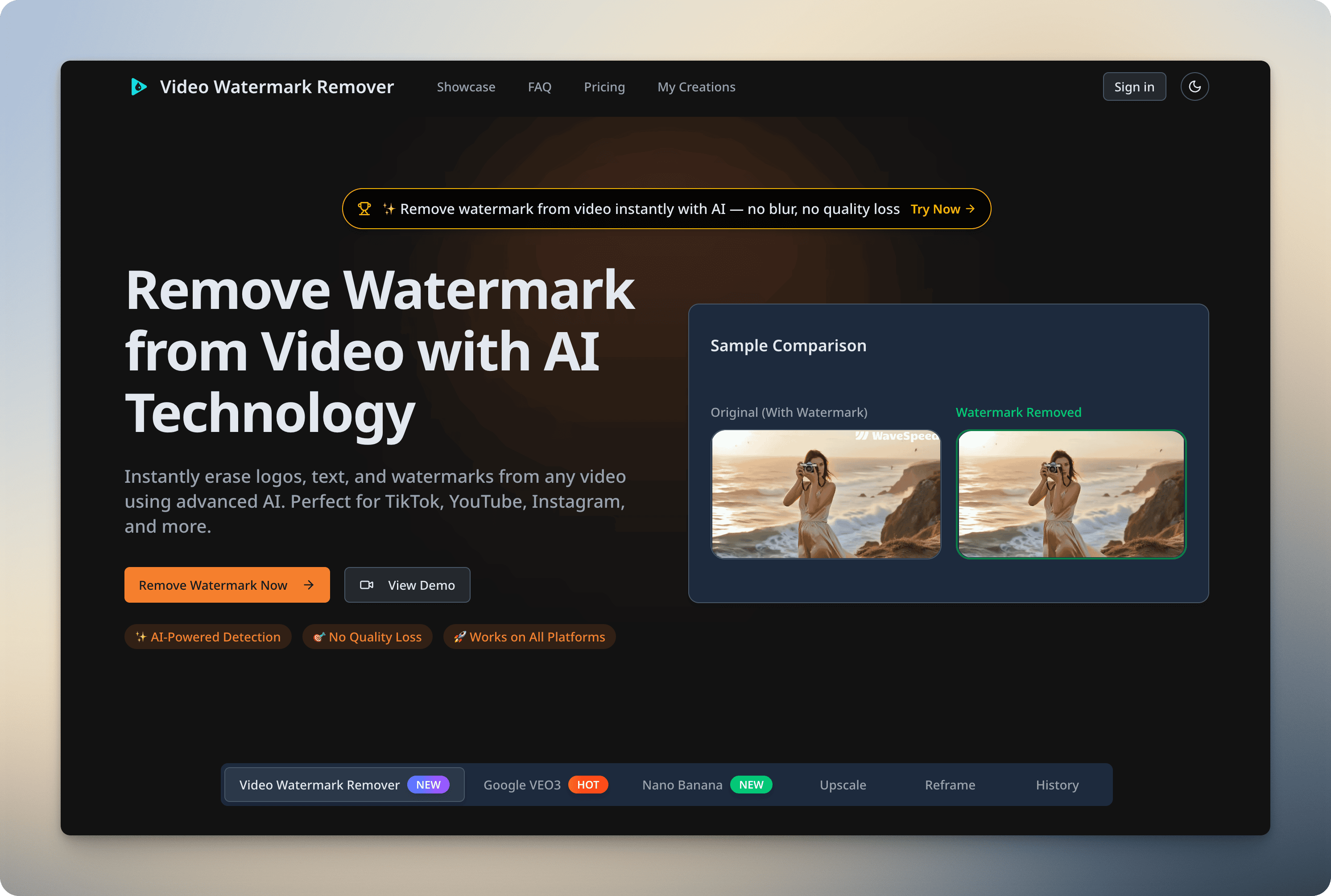 Video Watermark Remover